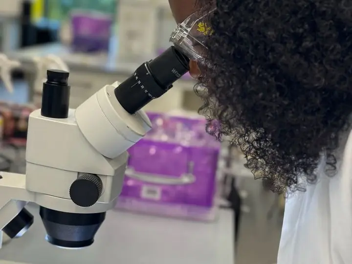 An In the Lab participant examining a hair sample under a microscope